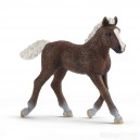 SCHLEICH 13899 KOŃ SZWEDZKI ŹREBIĘ