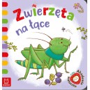 ZWIERZĘTA NA ŁĄCE AKADEMIA MALUSZKA AKSJOMAT